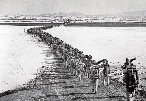 志願軍入朝參戰部隊中哪些戰績顯著更善戰