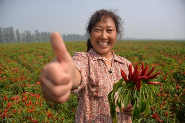 趙有成 /：老農民的三則小故事