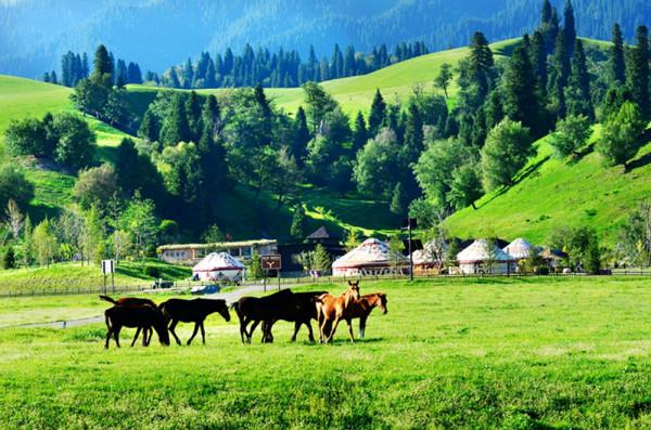 錯過那拉提，就錯過新疆一半的美？！這才是真實的那拉提