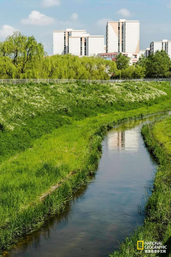 滌盪人心!2021最美旅行照片 滌盪人心!2021最美旅行照片