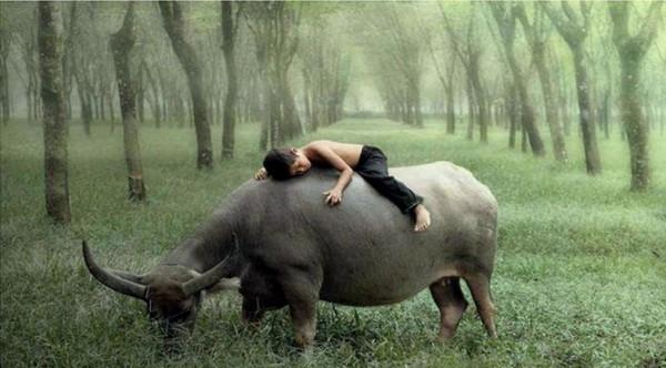 開國中將少林習得硃砂掌,滅鬼子無數,身中數彈“犧牲”後又復活 開國中將少林習得硃砂掌,滅鬼子無數,身中數彈“犧牲”後又復活