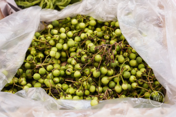 1小時飛攏的城市,有全國最好逛的市場 1小時飛攏的城市,有全國最好逛的市場