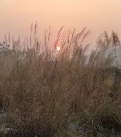 2021年是從什麼時候開始入九？