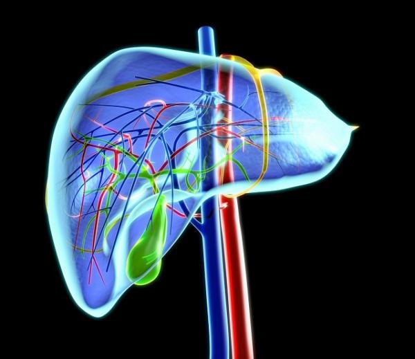 人體不能儲存酒精,酒精也不會轉化成脂肪,為什麼喝酒還會長胖? 人體不能儲存酒精,酒精也不會轉化成脂肪,為什麼喝酒還會長胖?