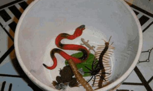 “蠱”究竟是什麼？為何幾乎所有朝代都在找養蠱人的麻煩？