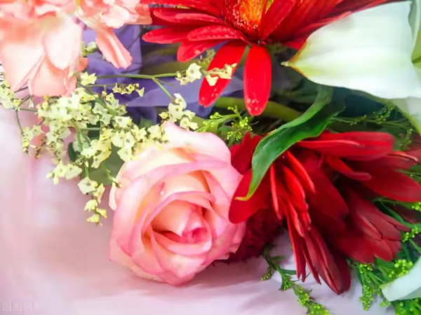 三種新型養老模式正在興起，不僱保姆不住養老院，更不需麻煩兒女