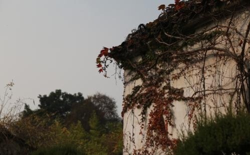 《太平廣記》志怪故事:狗仙 《太平廣記》志怪故事:狗仙