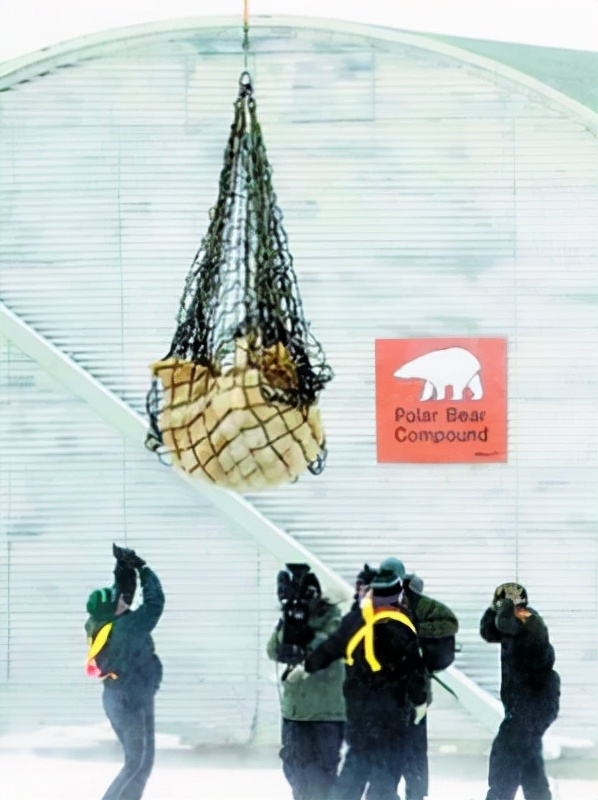 17個加拿大冷知識：帶你瞭解真實的加拿大