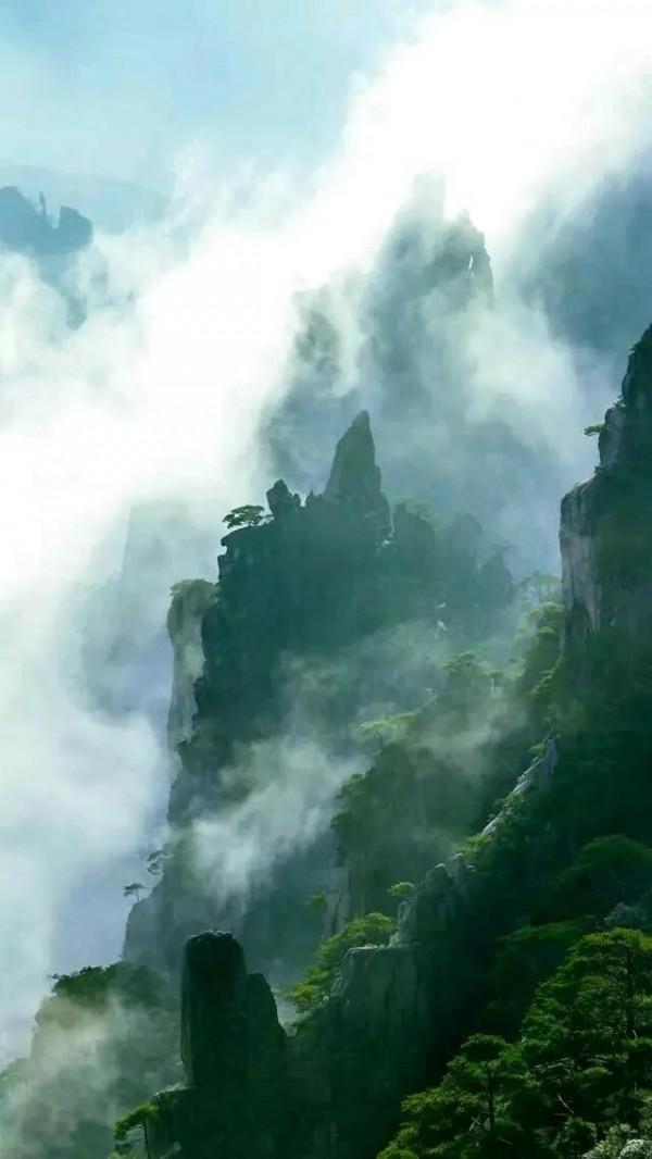 美呆的人間仙境