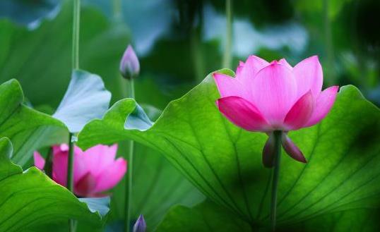 人生的退路，都是&OpenCurlyDoubleQuote;預留&rdquo;的