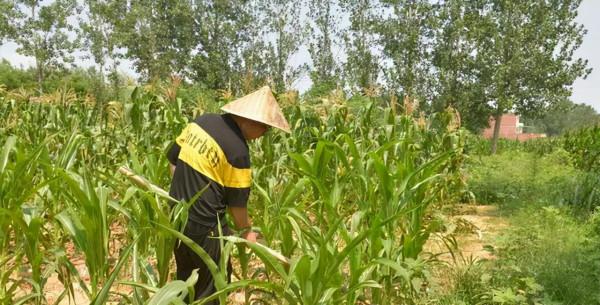 河南農村娃高考裸分700分上清華，父親獎勵一碗10元的牛肉湯慶祝