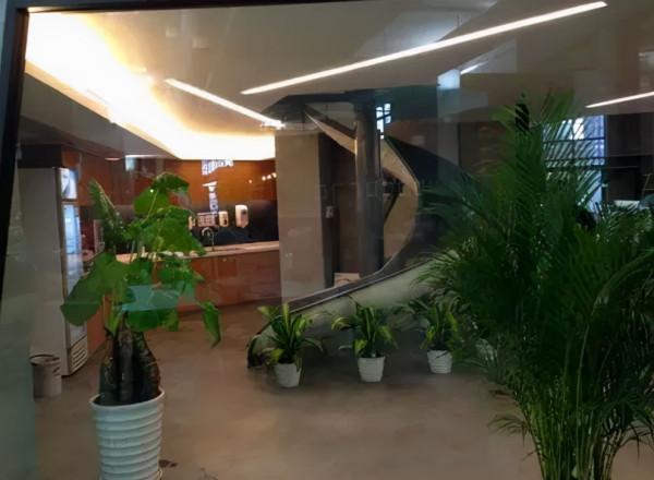 330億蘋果總部曝光,網際網路巨頭辦公樓裝修都有哪些道道? 330億蘋果總部曝光,網際網路巨頭辦公樓裝修都有哪些道道?