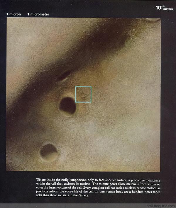 用幾張圖看透世界,震撼心靈,感悟人生 用幾張圖看透世界,震撼心靈,感悟人生