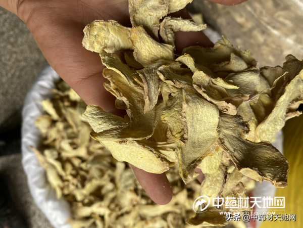 玉林藥市12月點評：行情依然表現不俗 調料品種令人失望