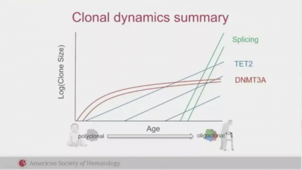 基因突變與克隆性造血有哪些聯絡，又如何指導AML危險分層？
