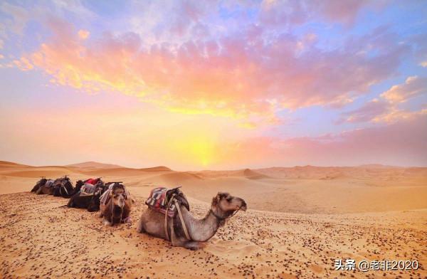 說3個旅行見聞，你就知道美國為啥20年都無法消滅塔利班