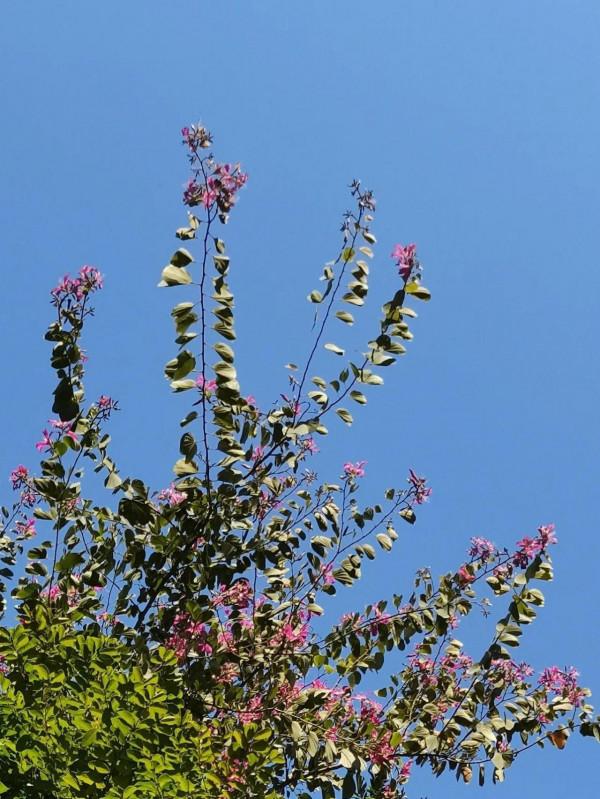 運動｜操場刷圈