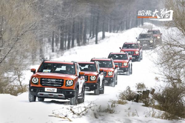 哈弗大狗提醒您出門要繼續帶好口罩哦