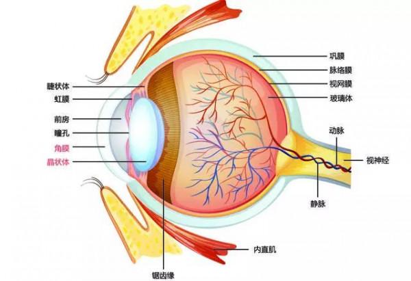 做近視手術究竟啥感覺？我剛剛做完，給大家形容一下……