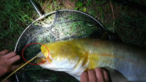 淺談野釣水底地形，這幾種就是能藏魚和聚魚