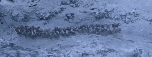 票房30億，《水門橋》成為春節檔冠軍的背後，這五位配角功不可沒