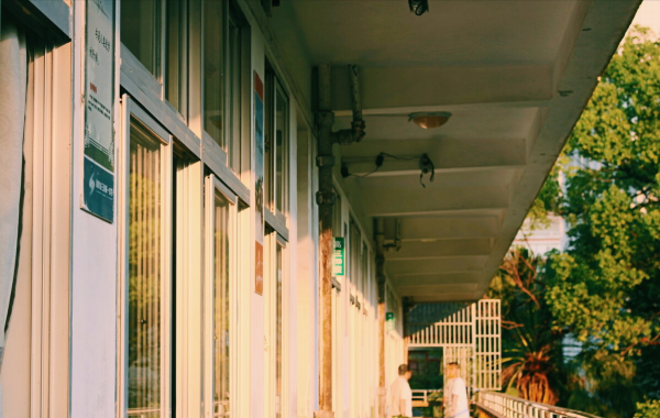 江蘇大叔發明出&quot;懶人種桃法&quot;，種出一斤半&quot;桃王&quot;，一個桃達125元