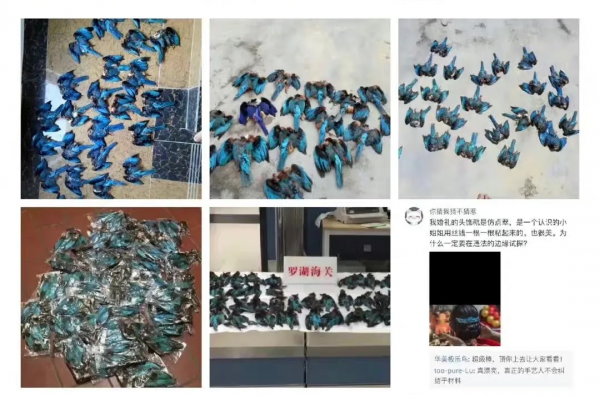 所以於正劇組虐貓了嗎