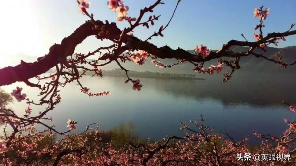 在那桃花盛開的地方 在那桃花盛開的地方