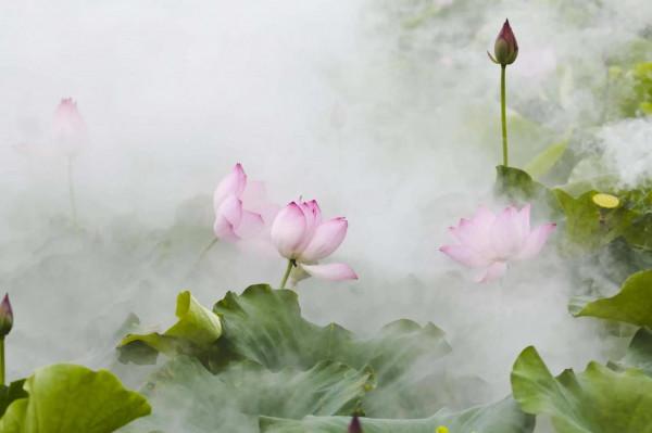 霧裡看花，水中望月並不美好，消除模糊才能到達人生巔峰