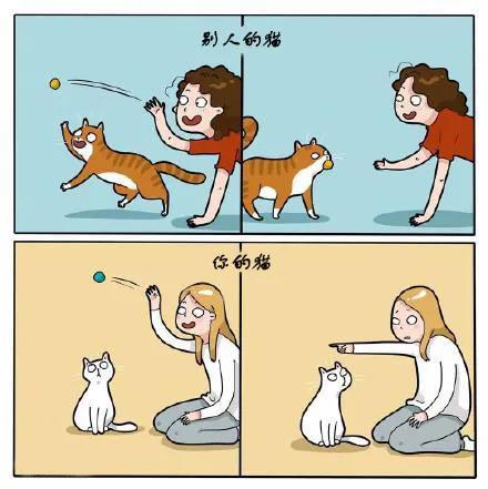 養貓人才會懂的痛:可能這就是愛吧 養貓人才會懂的痛:可能這就是愛吧