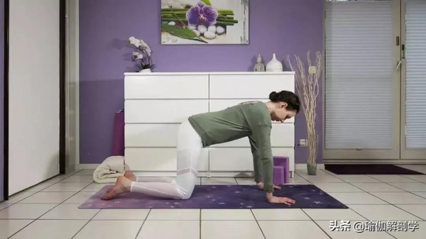10個脊柱最喜歡的瑜伽動作，初學者也能練