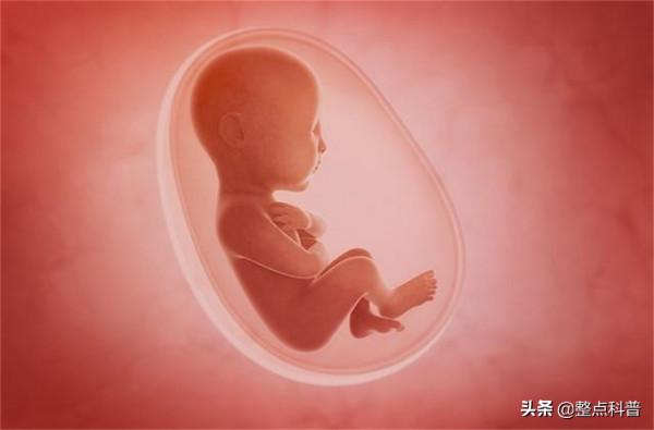 一斗窮、二斗富?康熙10個“簸箕”,中科院發現鬥與簸箕的奧秘 一斗窮、二斗富?康熙10個“簸箕”,中科院發現鬥與簸箕的奧秘