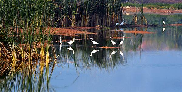 江蘇十大冷門景點，人少景美好玩