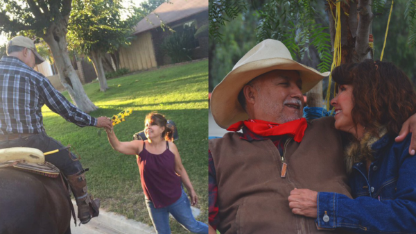 張智霖遺言看哭網友：袁詠儀，你錢夠花，我就安心了