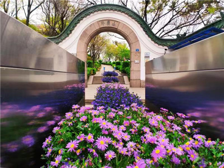 還山於民！青島市南區山頭公園全域免費開放