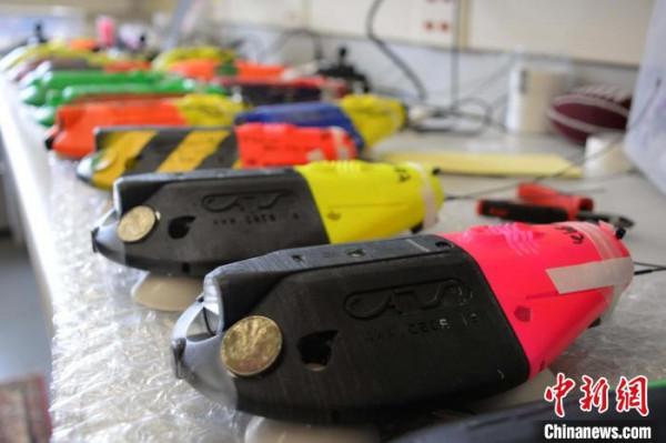 《自然》封面論文：世界最大動物鬚鯨“飯量”三倍於之前估計