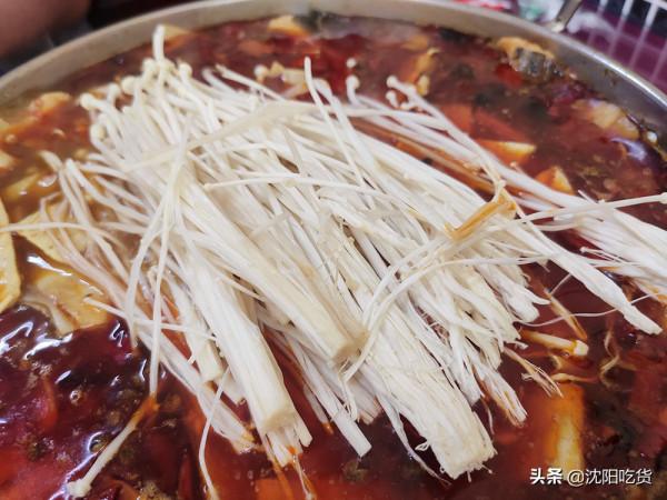 顛覆我對水煮魚的印象,老店,口碑好,但不是我想要的 顛覆我對水煮魚的印象,老店,口碑好,但不是我想要的