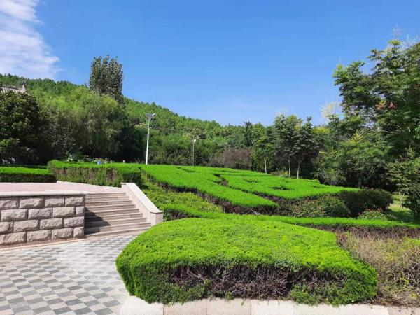 一個沒有文化的南方人對山東的初步印象 一個沒有文化的南方人對山東的初步印象