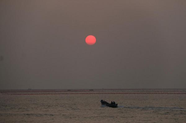 銀杏道的盡頭是大海 銀杏道的盡頭是大海