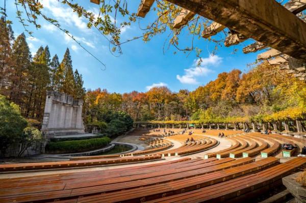 一入秋，南京就成了金陵