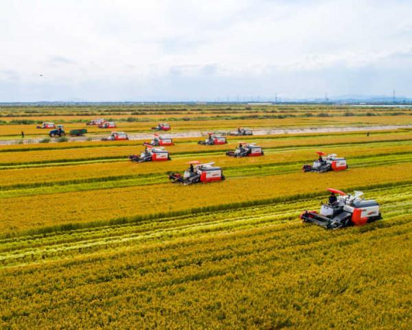 浙江農業“雙強”行動結碩果 一年育成47個新品種