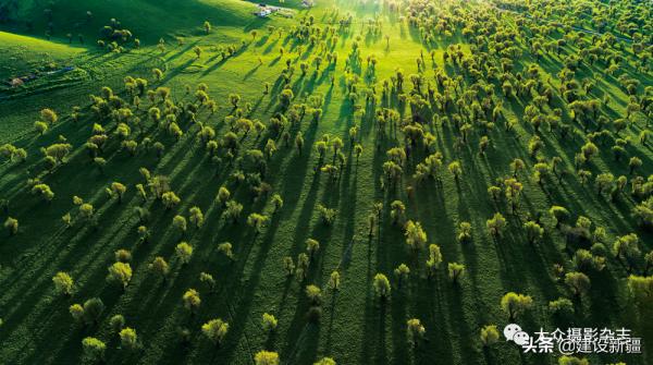 發現新疆之重 發現新疆之重