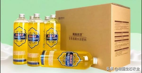 紅蜘蛛防不住,是選錯藥劑,還是其它原因? 紅蜘蛛防不住,是選錯藥劑,還是其它原因?