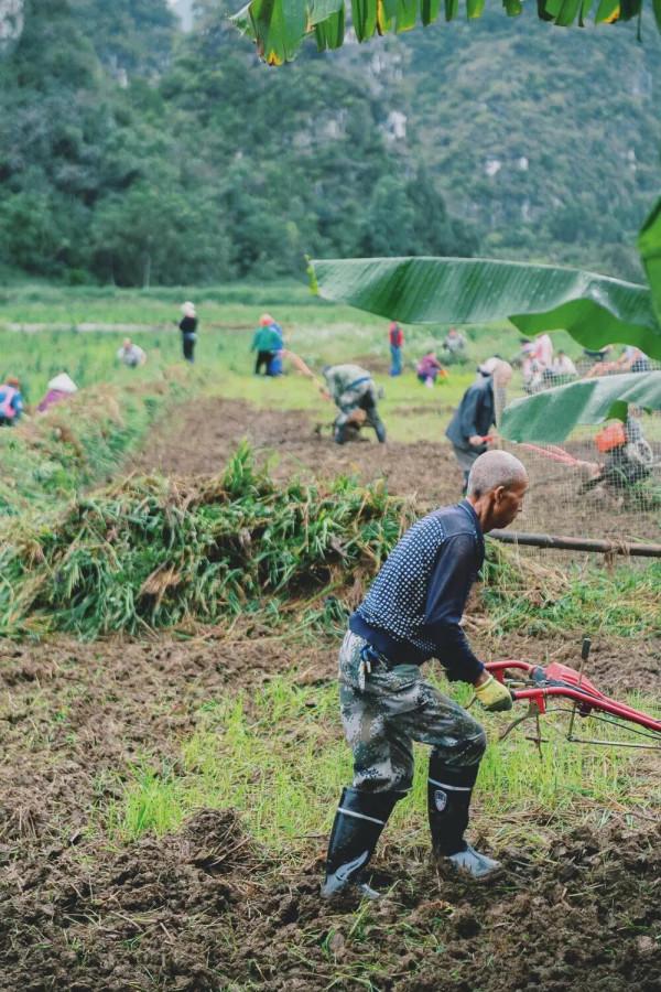 比桂林壯美,比川西神秘!3億年才得見的世外桃源,值得你來 比桂林壯美,比川西神秘!3億年才得見的世外桃源,值得你來