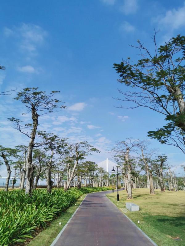橫琴芒洲溼地公園：美、大