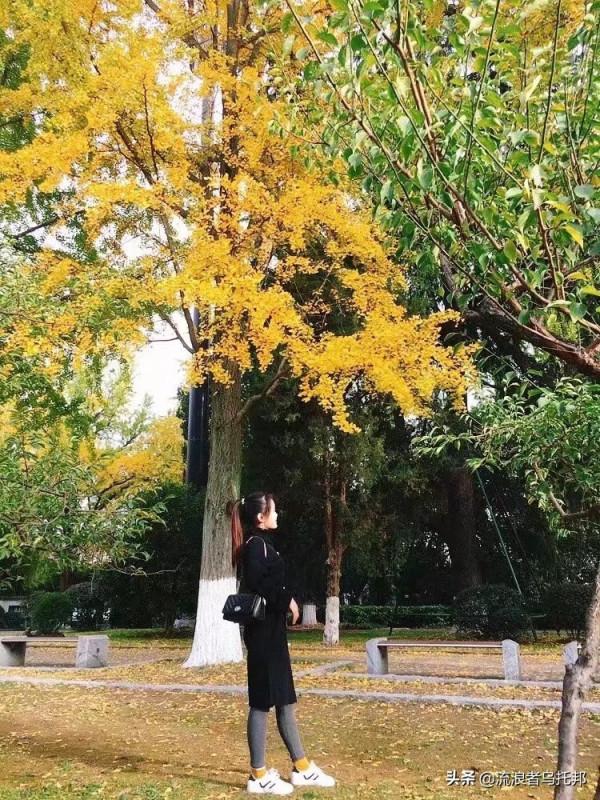 散文：殘月無枯顏，魂牽夢續讀