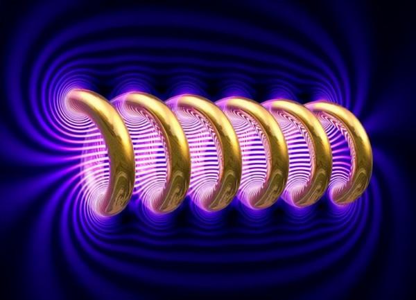 人進入強磁場中會發生什麼?科學家用青蛙做實驗,得到了反重力蛙 人進入強磁場中會發生什麼?科學家用青蛙做實驗,得到了反重力蛙