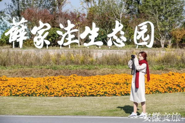 “夢幻王國”、一房書香、幸福驛站，2021，你來安徽“打卡”了嗎？