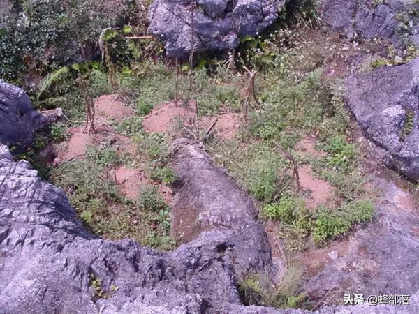 中國農業漸入機械化，山區農耕發展如何？一口氣了解