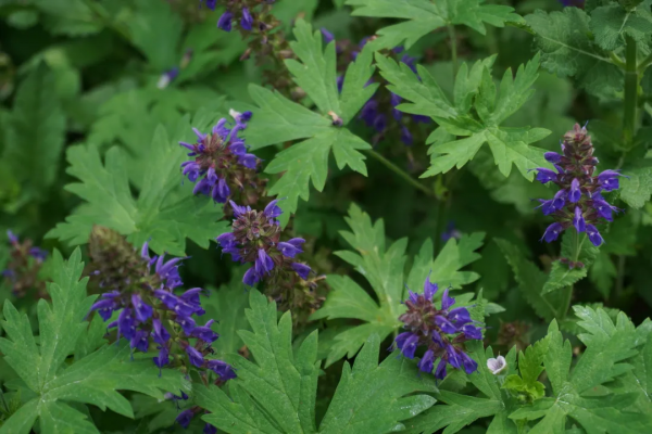 京城這個爆火的4A級景區，你打卡了嗎？快收下這份經典路線攻略，跟著走就行！